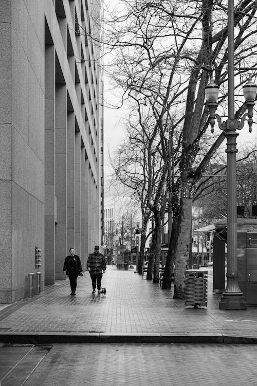 Black and White Photo of a Sidewalk in City 