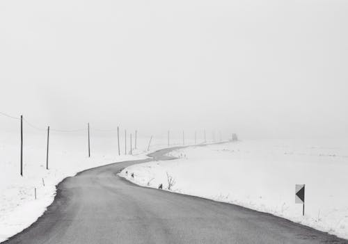 Immagine gratuita di bianco e nero, campo, congelato