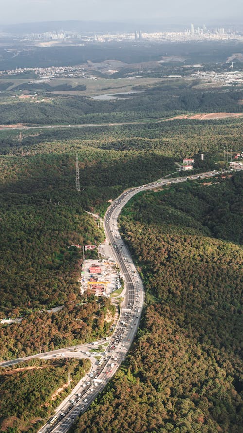 Imagine de stoc gratuită din arbori, codru, dealuri