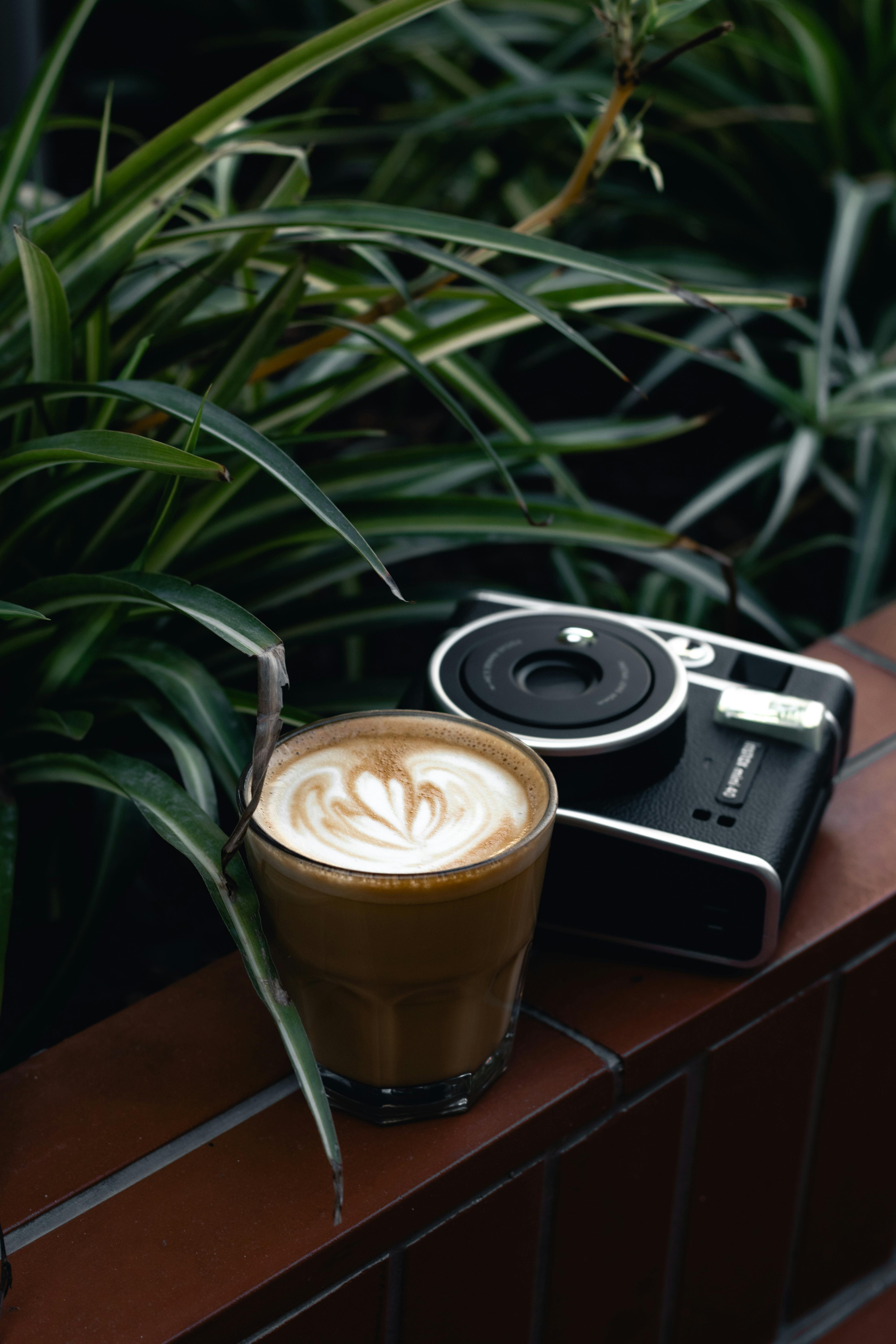 A close-up of a latte art coffee and retro camera surrounded by lush plants.