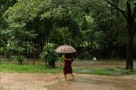 A Buddhist monk in traditional attire walks barefoot with an umbrella in the rain, surrounded by lush greenery in Yangon, Myanmar.