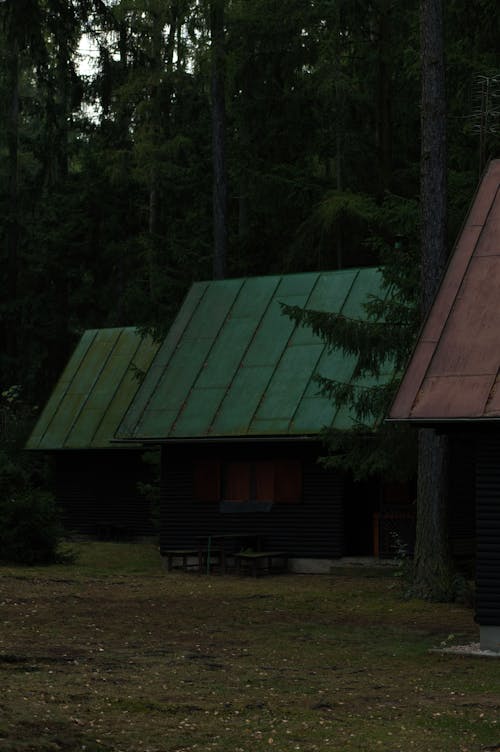 View of Cabins in Woods 