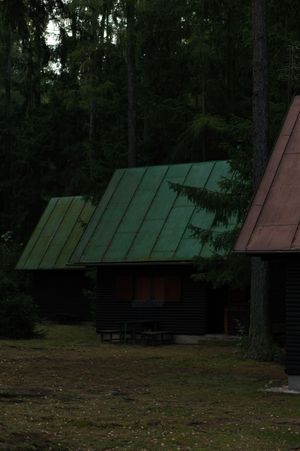Cabins in woodland by Stepan Vrany on Pexels