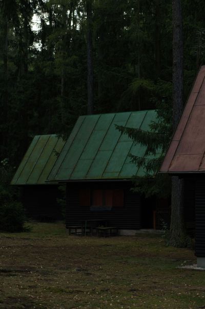Cabins in woodland by Stepan Vrany on Pexels