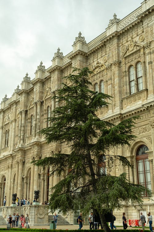 Foto stok gratis berhias, istana dolmabahçe, Istanbul