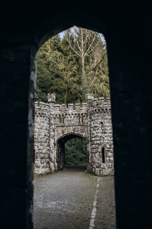 Ballysaggartmore Towers in Ireland 