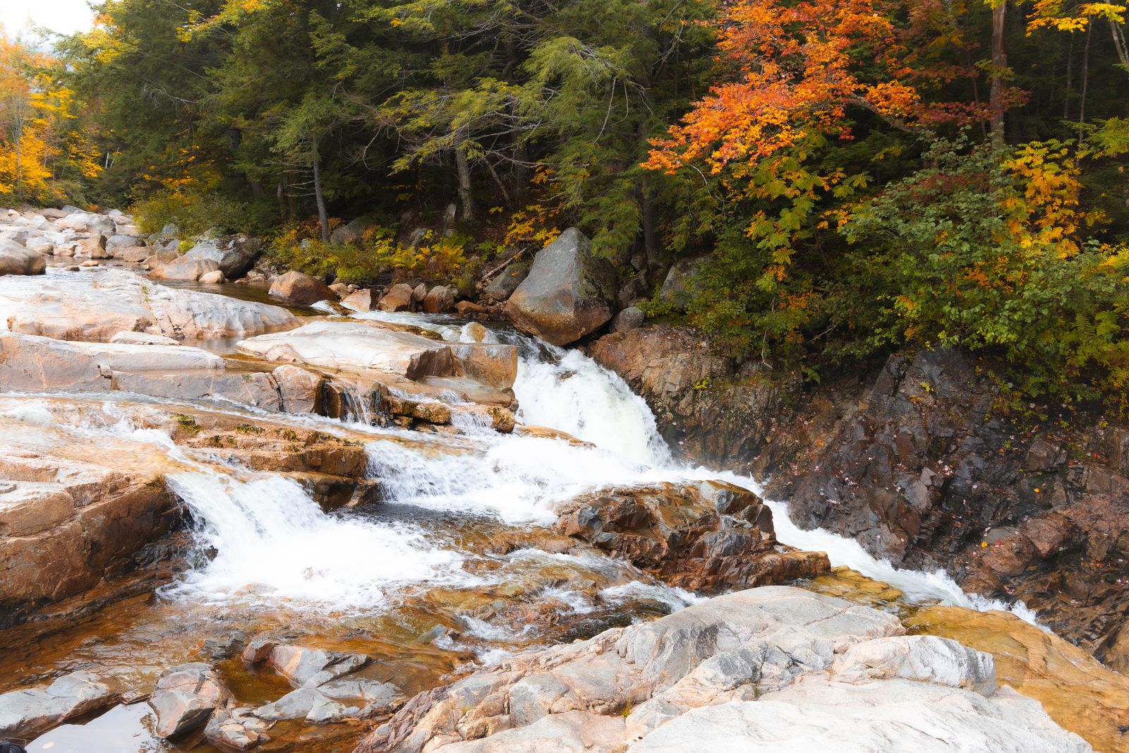 Parc d'État de Jamaica, Hamilton Falls et la West River