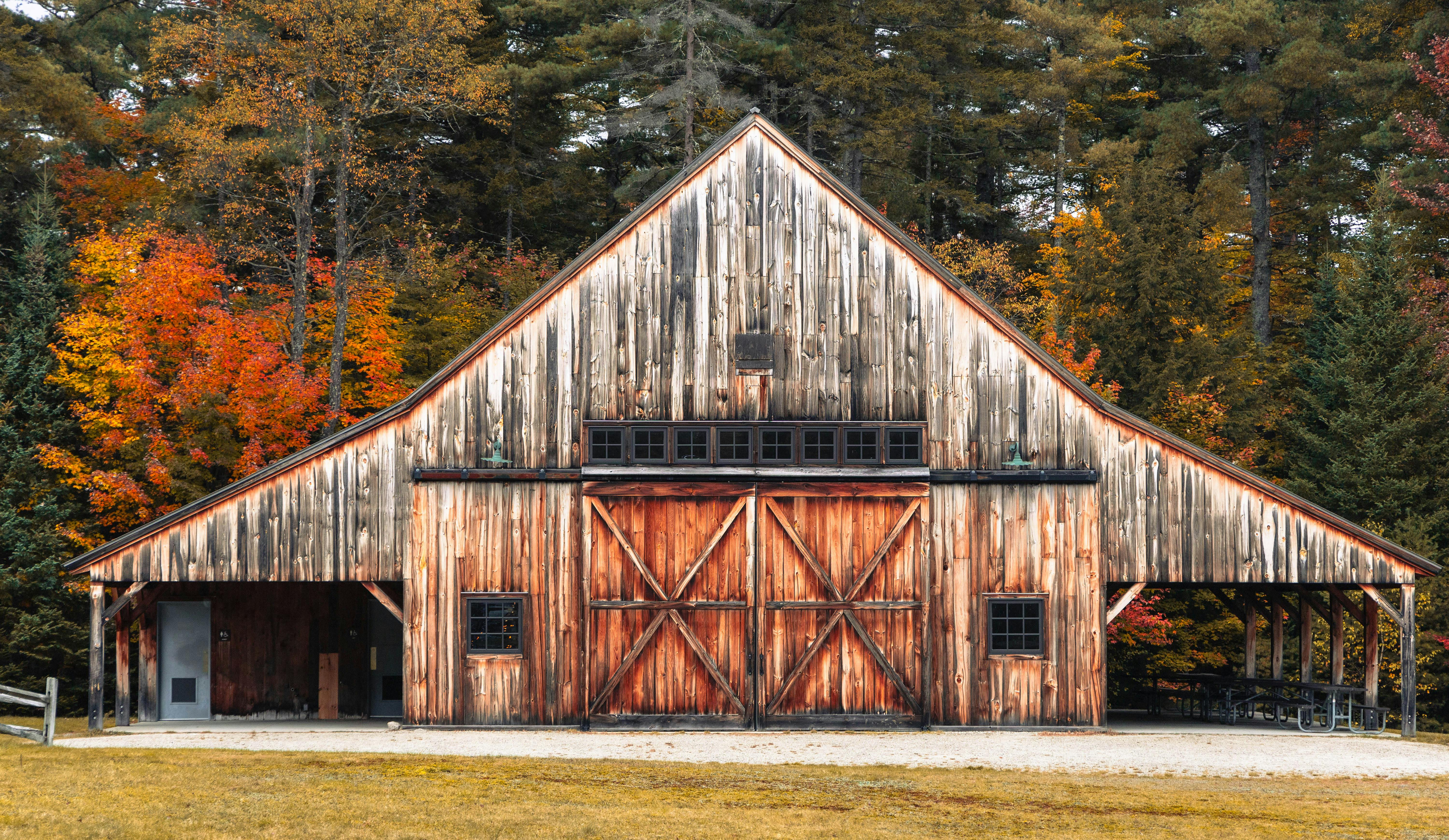 Federal reclassification benefits Vermont medical cannabis program — Photo by Phil Evenden on Pexels