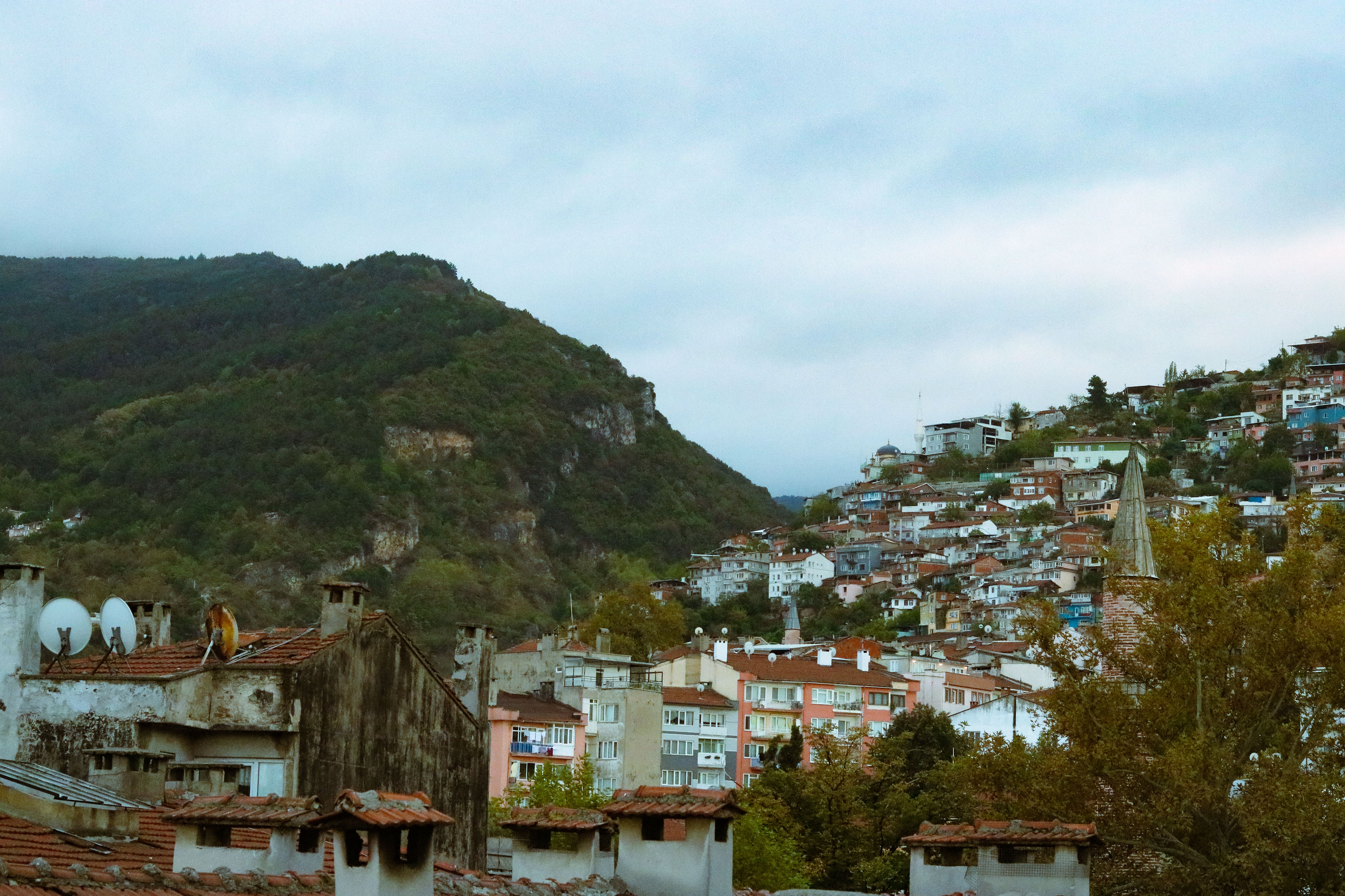 Bursa çıkış