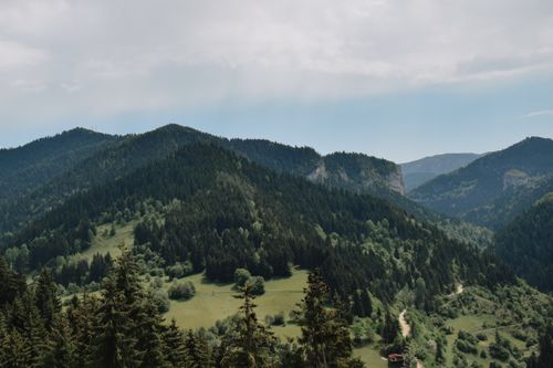 Free A stunning aerial view of a lush green forest and rolling mountains under a blue sky. Stock Photo