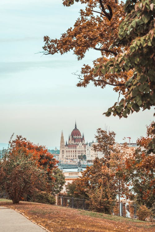 Hungarian Parliament Building Seen from a Park in Budapest, Hungary