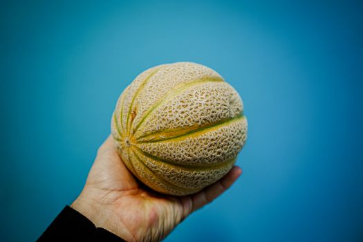 A close-up image of a human hand holding a fresh melon against a blue background.