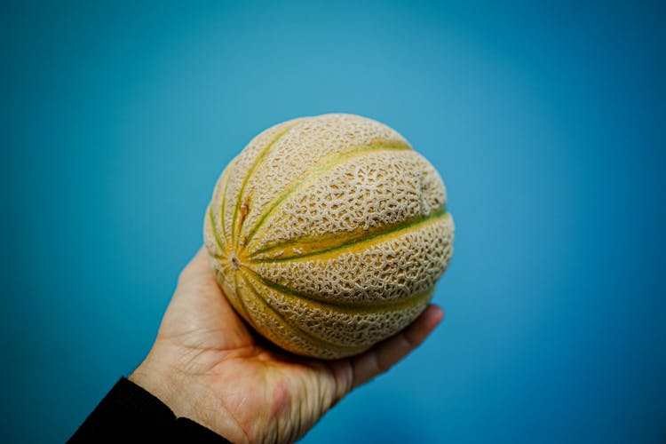 Hand Holding Melon