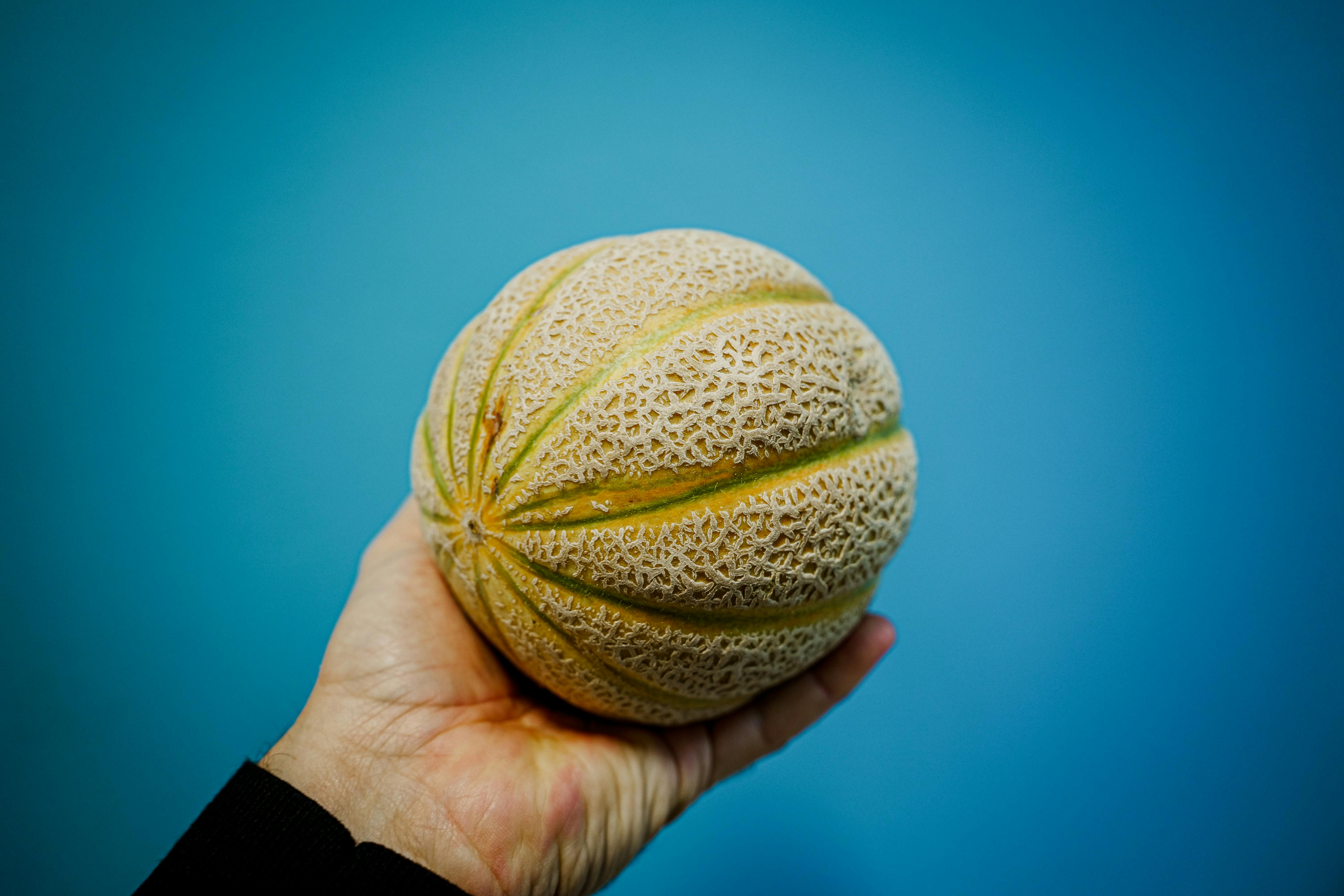 A CloseUp Shot of Melons · Free Stock Photo