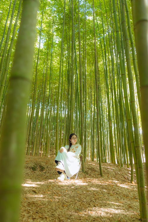 Woman Sitting in a Bamboo Forest