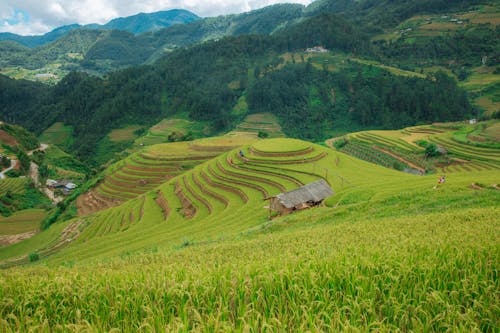 农村, 山, 山谷 的 免费素材图片