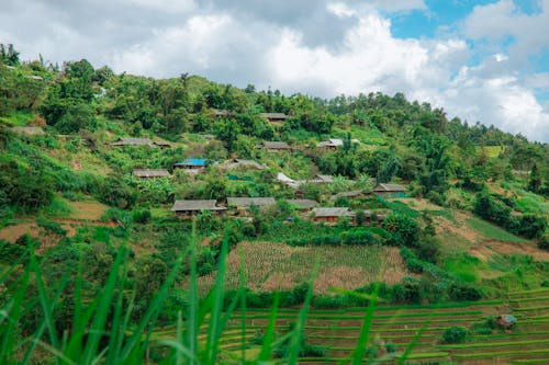 Foto stok gratis bangunan, bukit, Desa