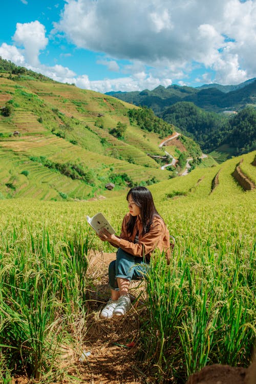 Woman Reading a Book in a Rice Field