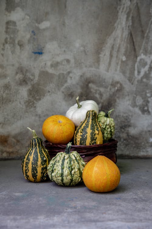 Pumpkins in and around Basket