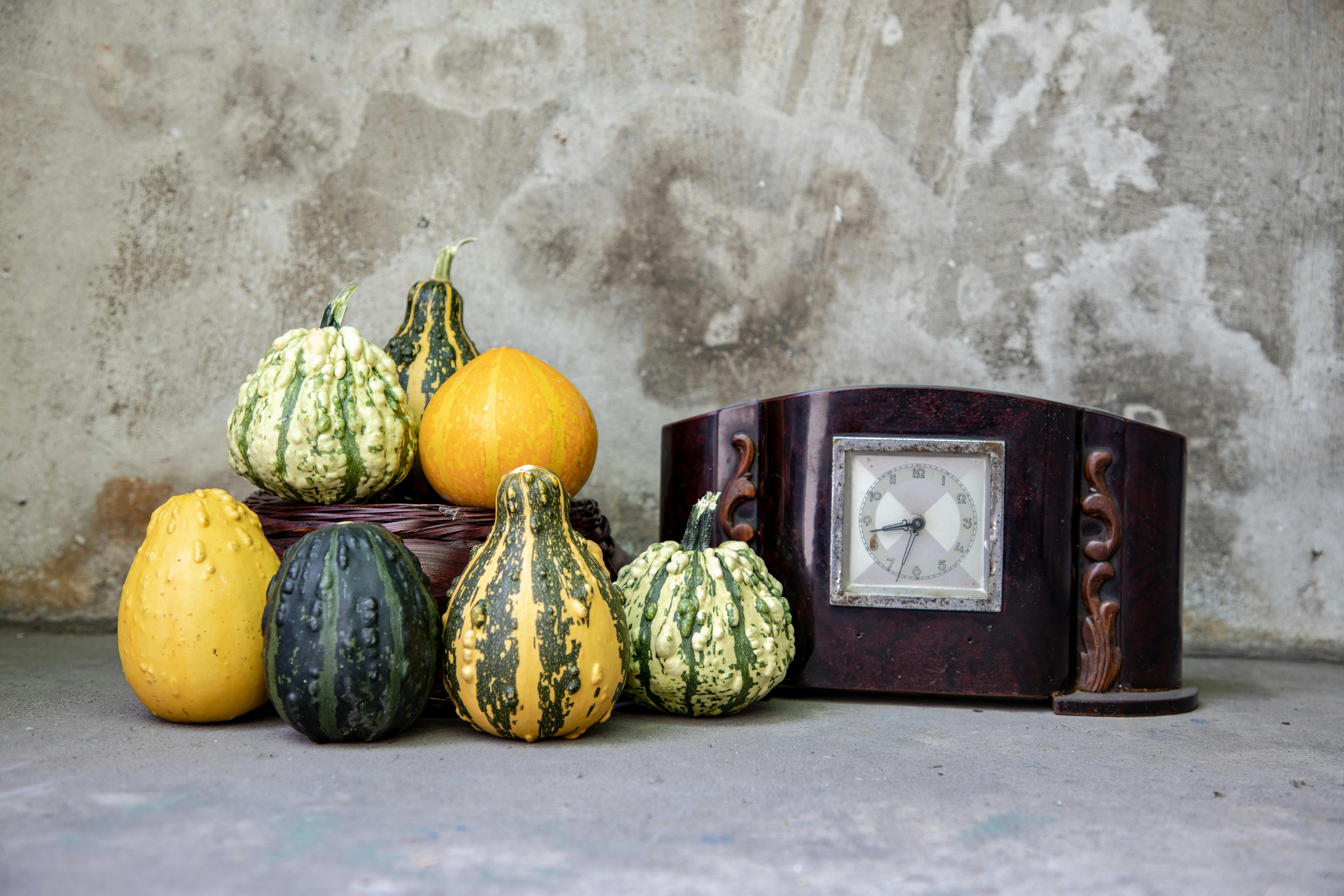 Still life of assorted gourds with a vintage clock, perfect for autumn and Thanksgiving themes.