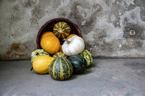 Pumpkins Spilled from the Basket