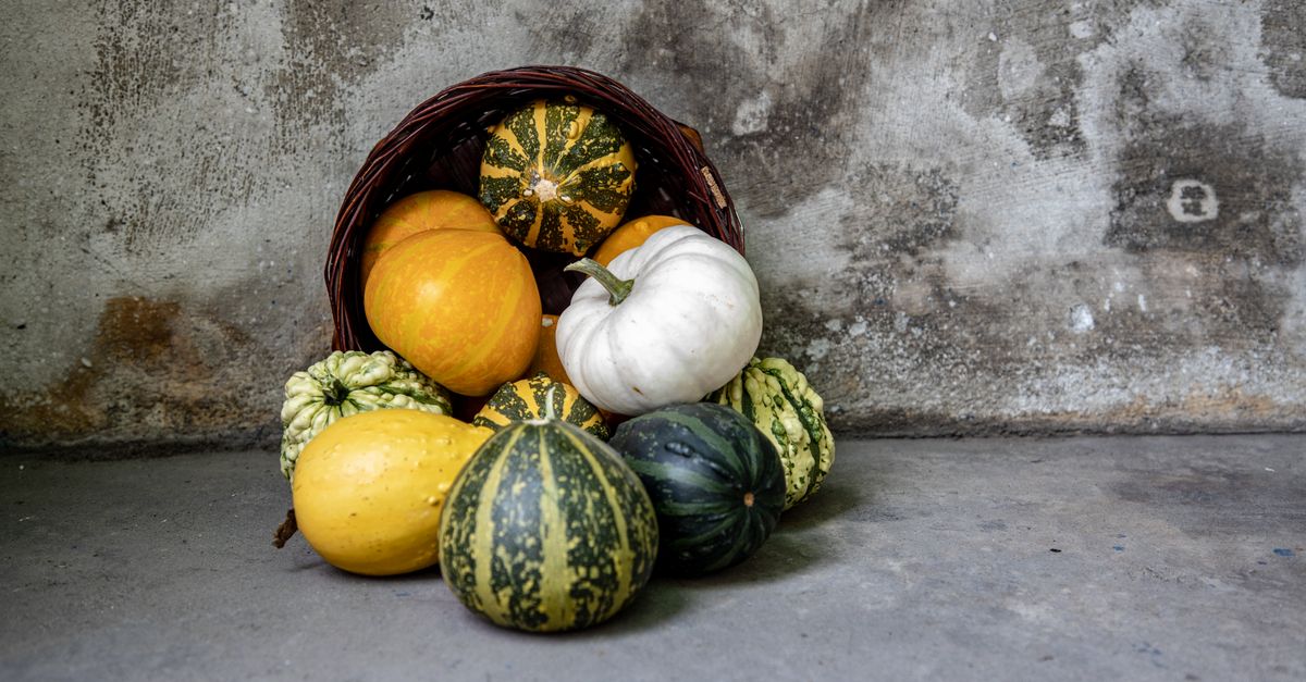 Les Secrets pour Créer un Panier de Légumes Équilibré