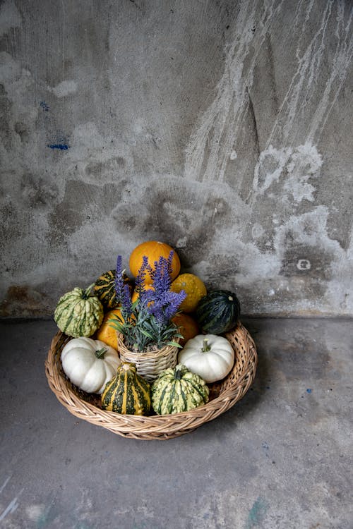 Thanksgiving Decoration Made of Pumpkins and Lavender