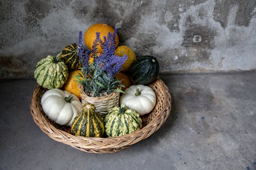Basket with Pumpkins and Flowers