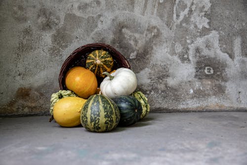 Autumn Decoration Made of Winter Squashes and Wicker Basket