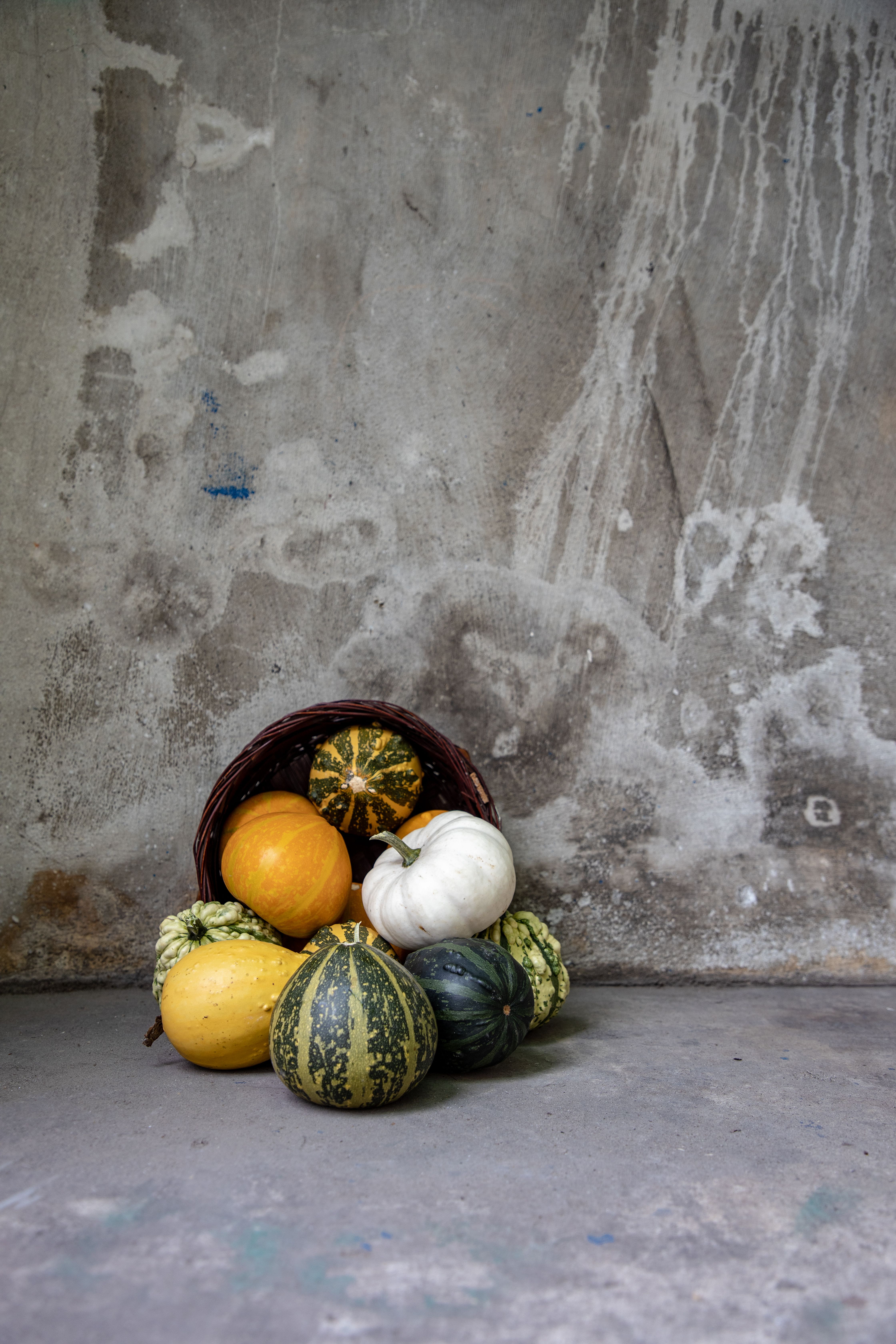 cured winter squash in storage