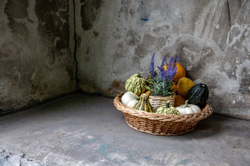 Wicker Basket with Winter Squashes and Potted Lavender 