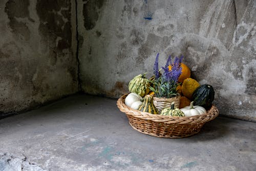Wicker Basket with Ornamental Gourds and Lavender Flowerpot on the Floor of a Farm Building