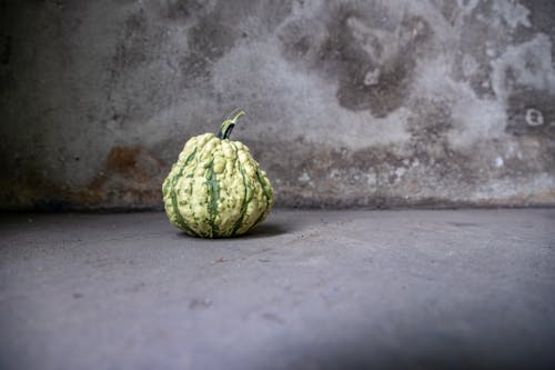 Warted Ornamental Gourd on the Floor