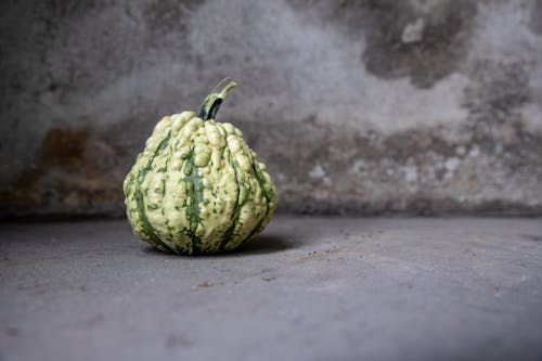 Pumpkin on Gray Background