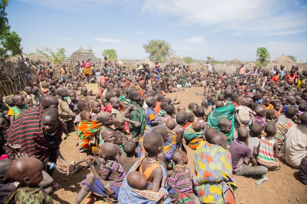 Church Compound Gardens in Babadogo — Green Revolution Farmers