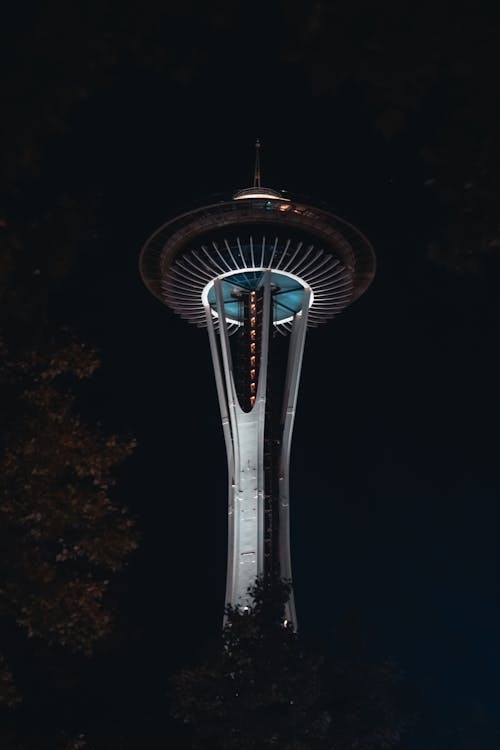 View of the Space Needle at Night, Seattle, Washington, USA