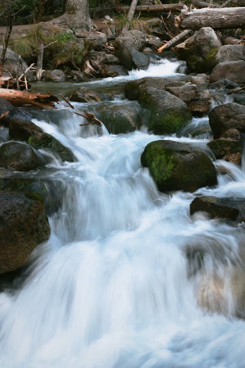 Foto profissional grátis de água corrente, cachoeira, corrente