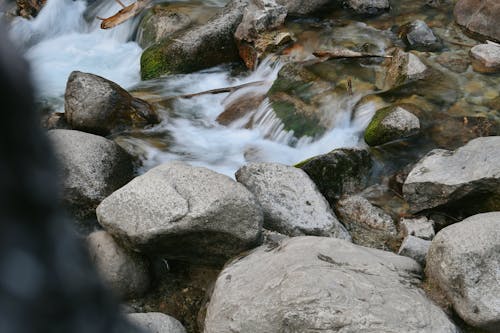 Gratis lagerfoto af å, flod, flydende vand Lagerfoto