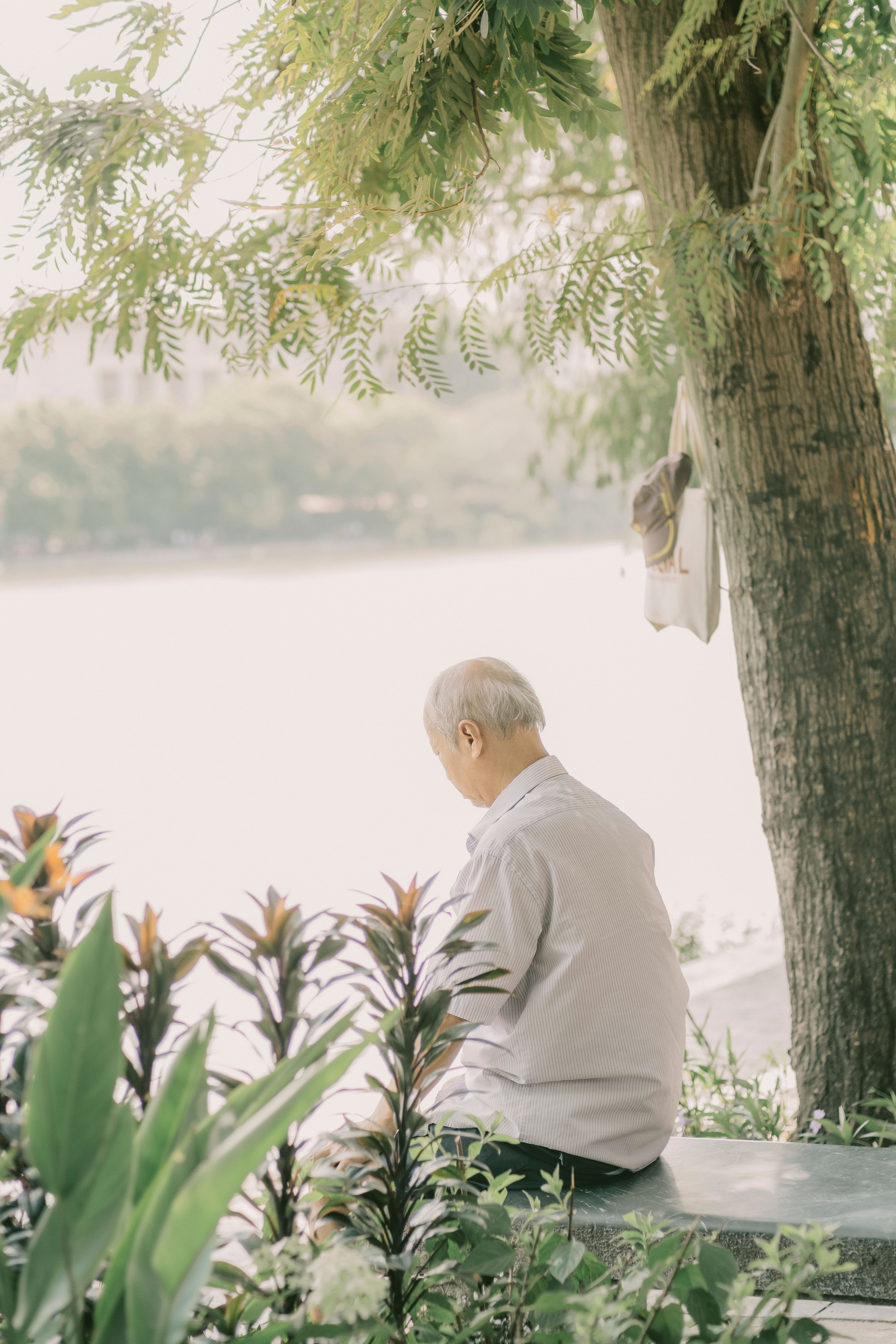 Elderly Man Sitting under a Tree and Looking at a River · Free Stock Photo