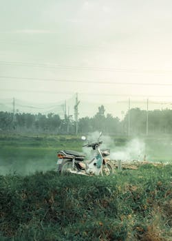 Image by Hiep Nguyen