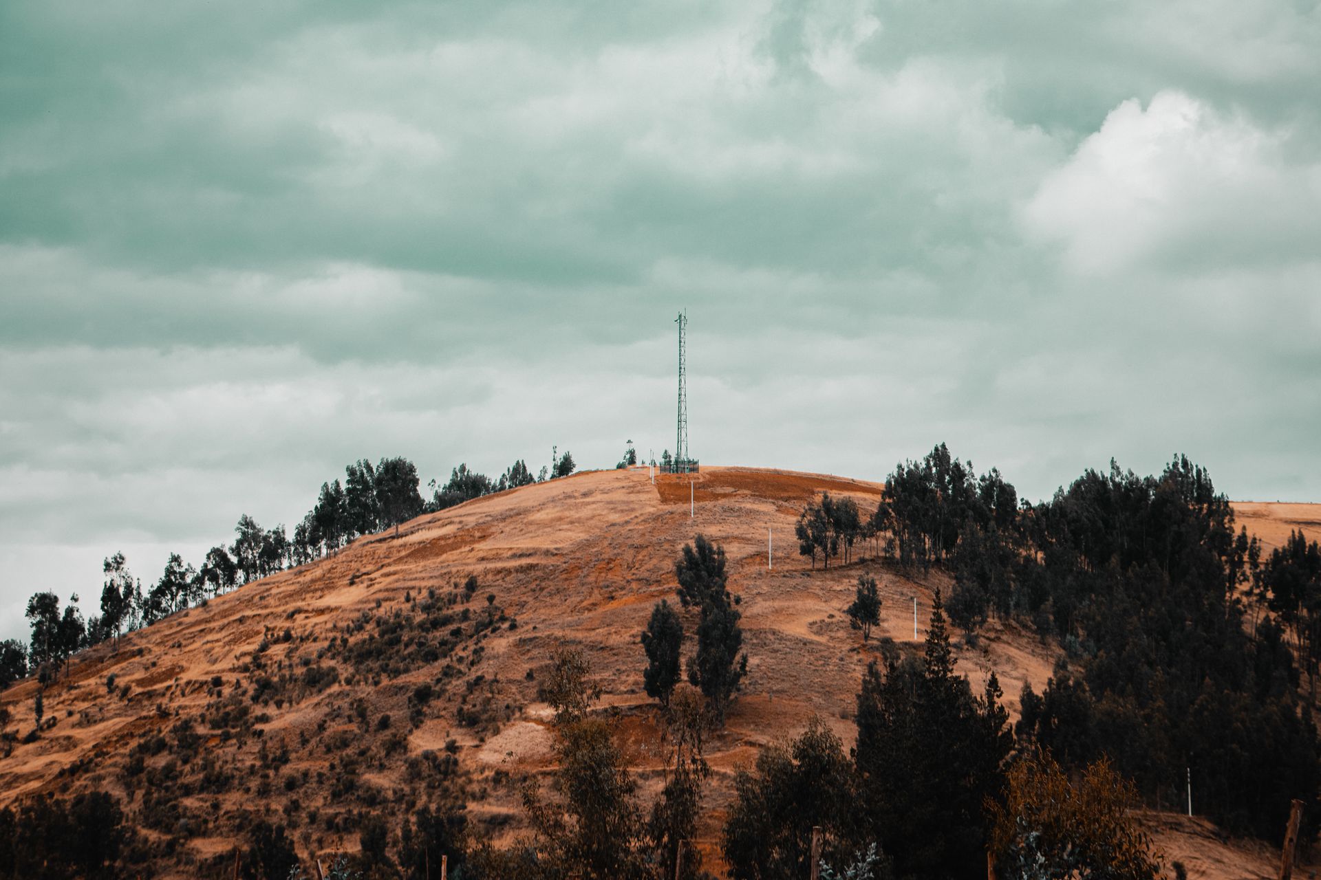 A serene hill landscape featuring a lone tower atop surrounded by trees under a cloudy sky.