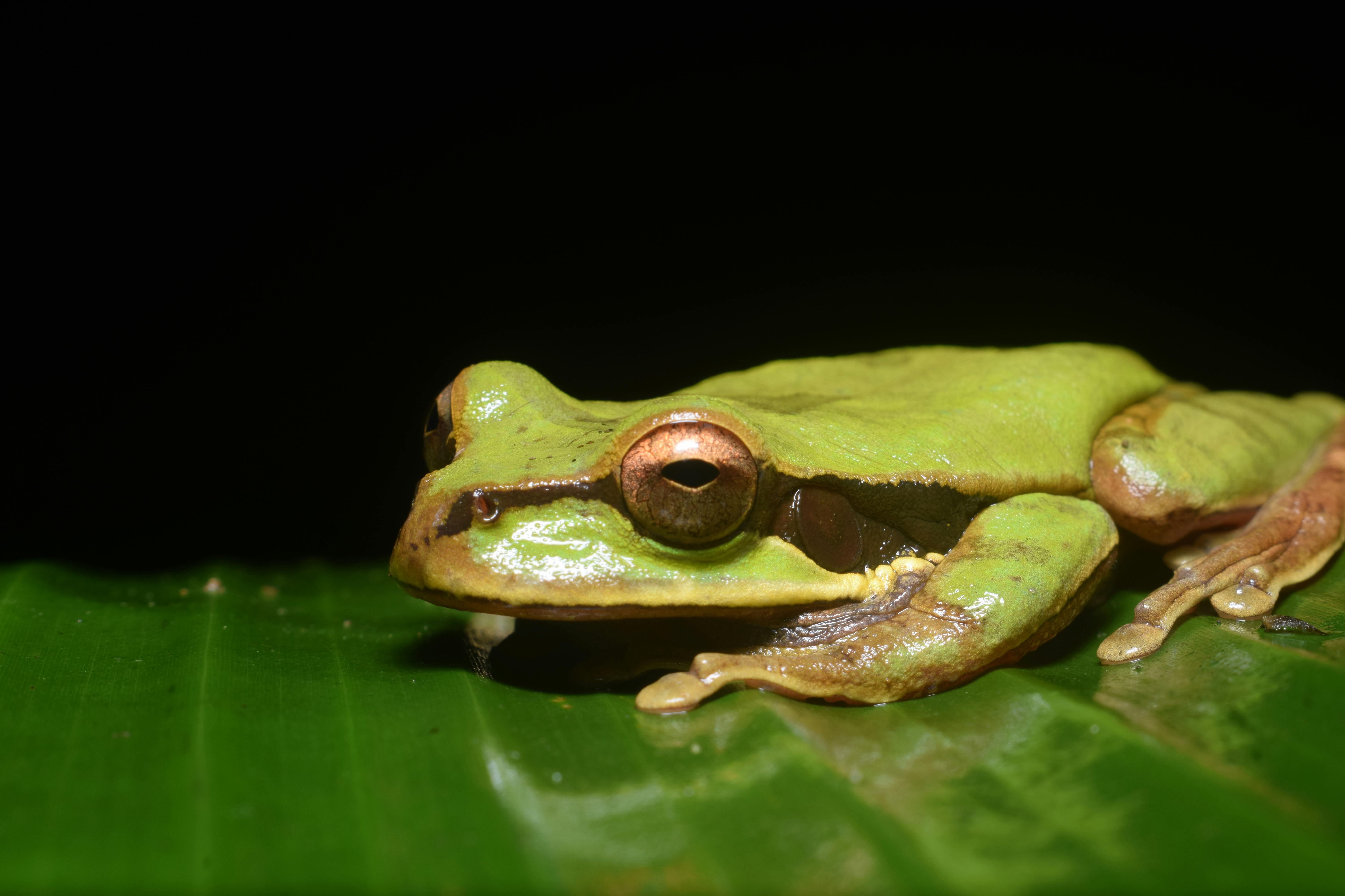 Los 7 Beneficios Clave de Comprar en Amazon Panamá: ¿Por Qué Deberías Probarlo Hoy?