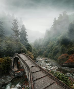 Scenic stone footbridge crossing a misty forest stream in Arhavi, Türkiye.