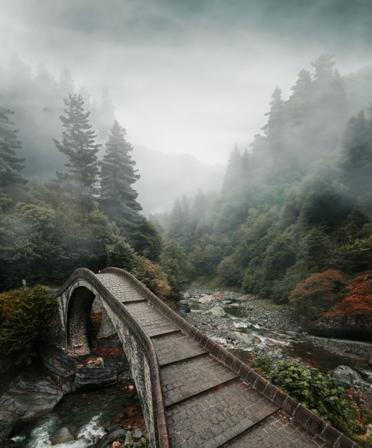 Scenic stone footbridge crossing a misty forest stream in Arhavi, Türkiye.