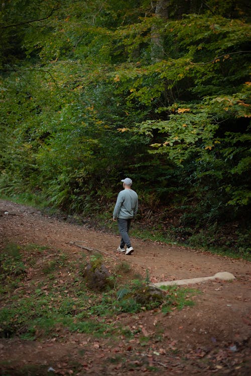 Man Walking on Footpath in Forest