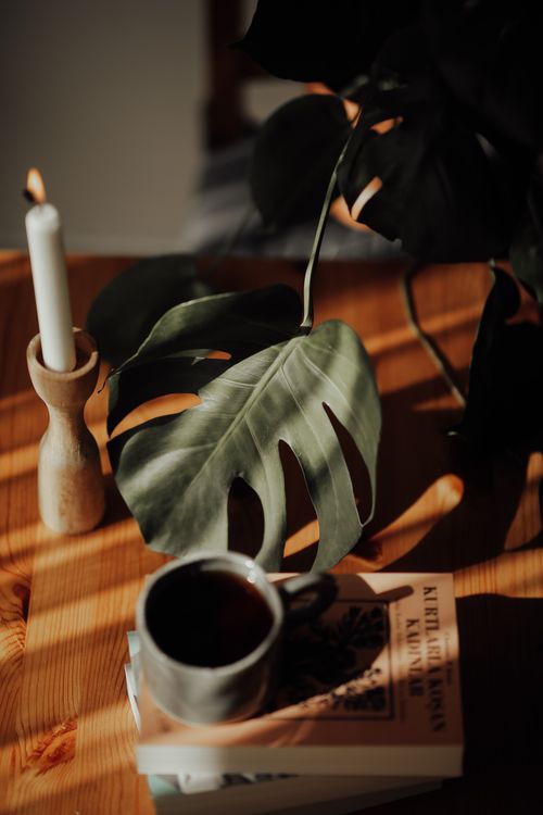 Free A serene coffee setup featuring a monstera leaf, stack of books, and a lit candle on a wooden table. Stock Photo