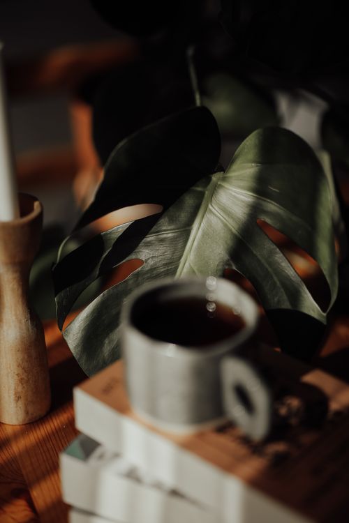 Free Warm still life featuring coffee mug, books, and monstera leaf in soft light. Stock Photo