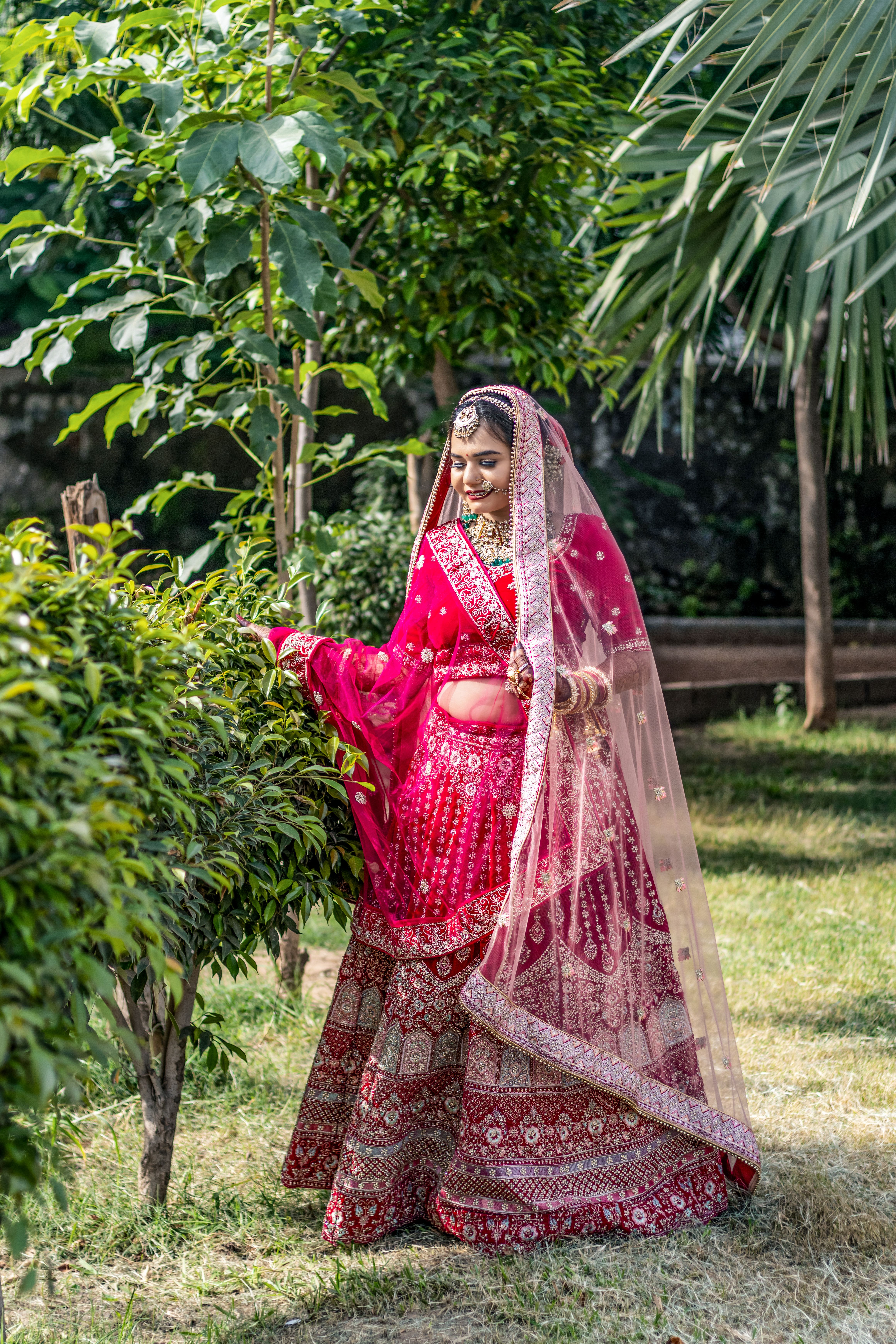 Woman in Red Traditional Bridal Saree Standing in a Park · Free Stock Photo