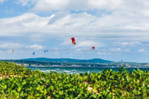 A vibrant scene of kitesurfers at the beach under a bright summer sky.