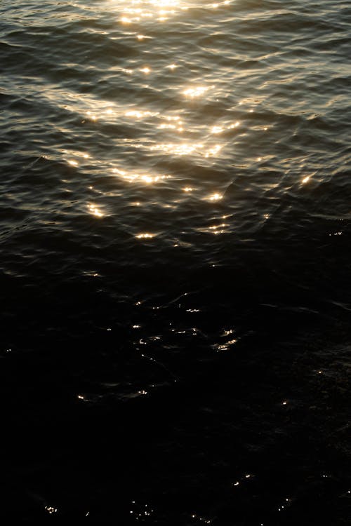 Sunbeams on Water Surface